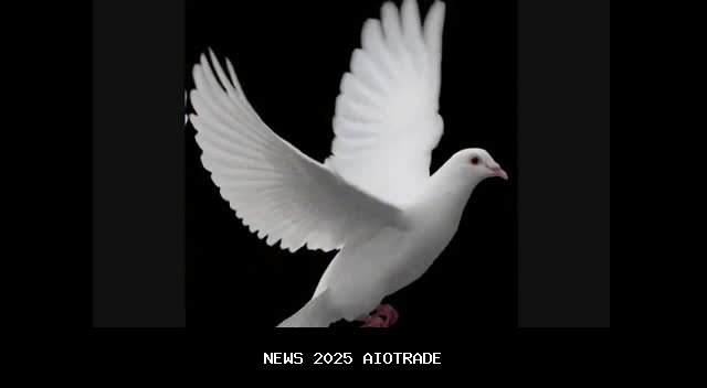 Dara Natasha Tampil Mencuri Perhatian dengan Busana Nyi Roro Kidul, Juara Icon Indonesia Culture 202