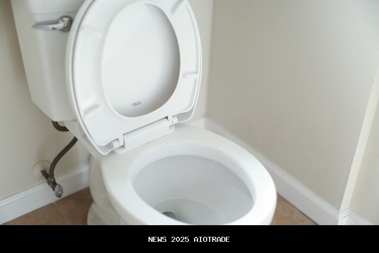 Kapan Harus Ganti Dudukan Kloset? Kenali Tandanya