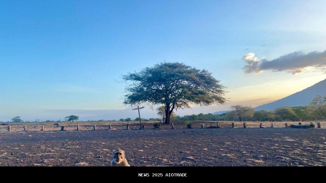 Tempat Wisata Menarik dan Terjangkau di Banyuwangi: Kawah Ijen, Baluran, Pulau Merah, Teluk Hijau