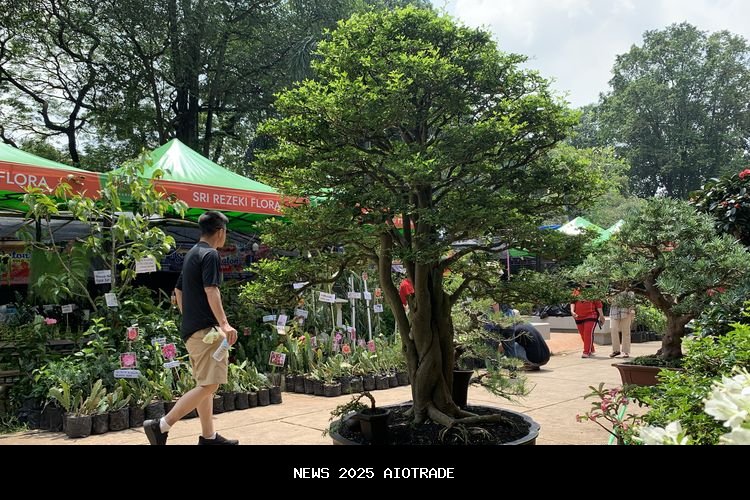 Melihat Bonsai Rp70 Juta di Pameran Flona, Apa Keistimewaannya?