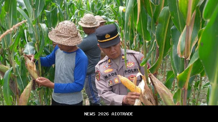 Bulog libatkan Polri kejar target penyerapan jagung
