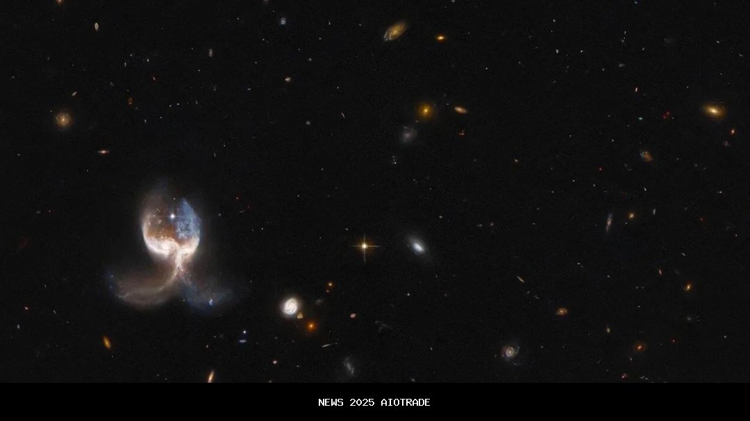 Brian Greene, Fisikawan Terkenal, Jadi Pembawa Acara Global Space Awards di London