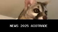 Ini Genet! Mamalia Mirip Musang yang Aktif di Malam Hari