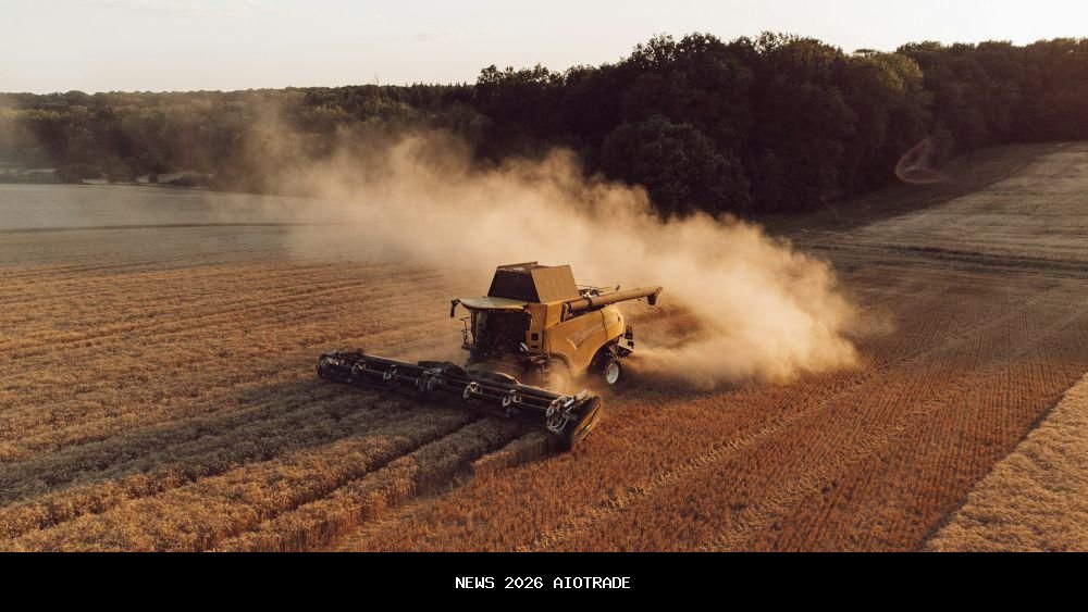 Ukraina, Penghasil Bijian Terbesar Kedua Eropa di Tengah Perang