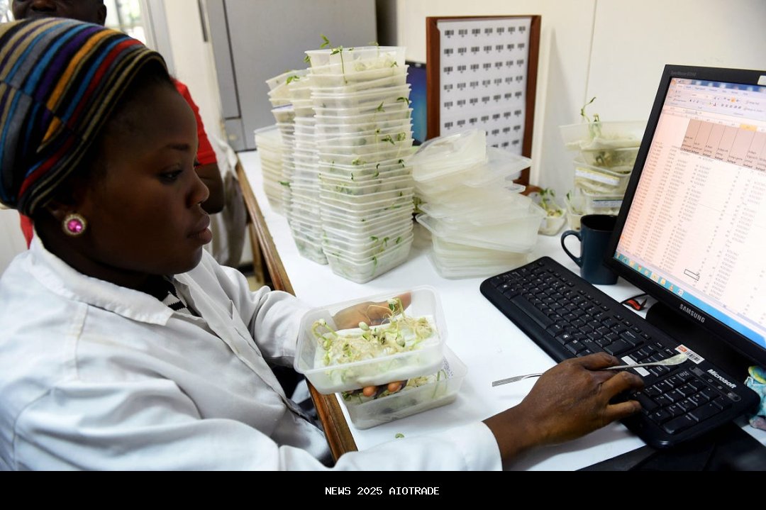 Peneliti Afrika, Ahli Gender Diminta Berkontribusi pada Wikipedia