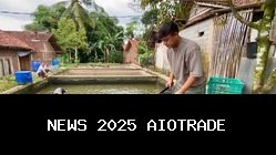 Pemuda Gentansari Sukses Raup Ratusan Juta dari Budidaya Lele