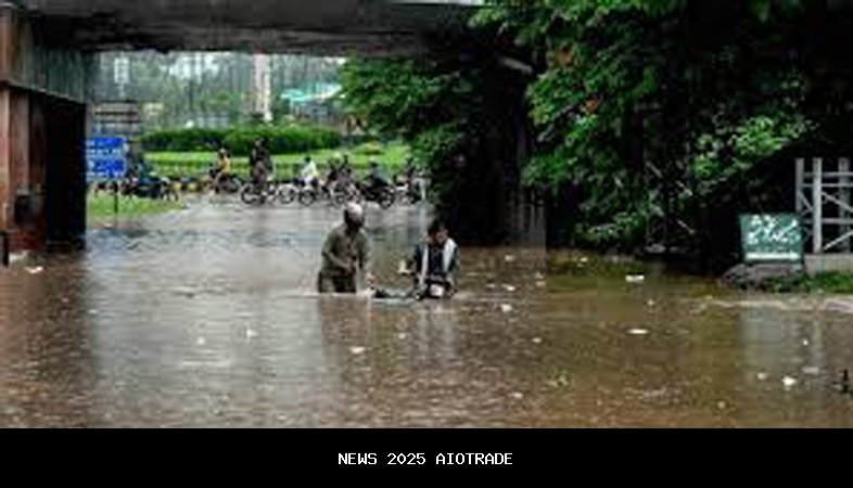 PDMA mengeluarkan peringatan banjir saat Punjab bersiap menghadapi musim hujan ketujuh