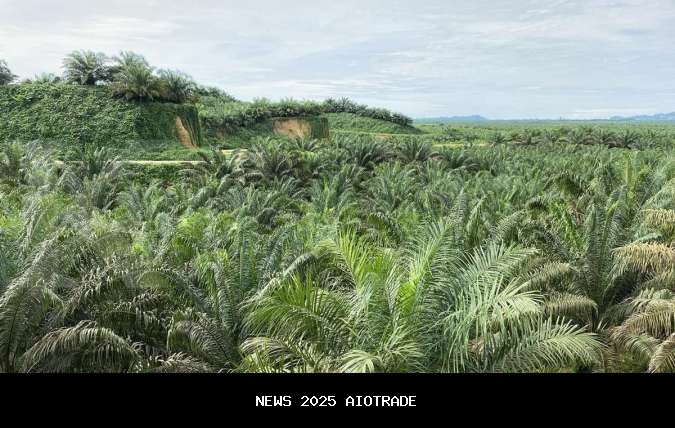 IEU-CEPA & ICA-CEPA Ditandatangani, Dorong Kinerja Emiten Ekspor, Ini Rekomendasi Sahamnya