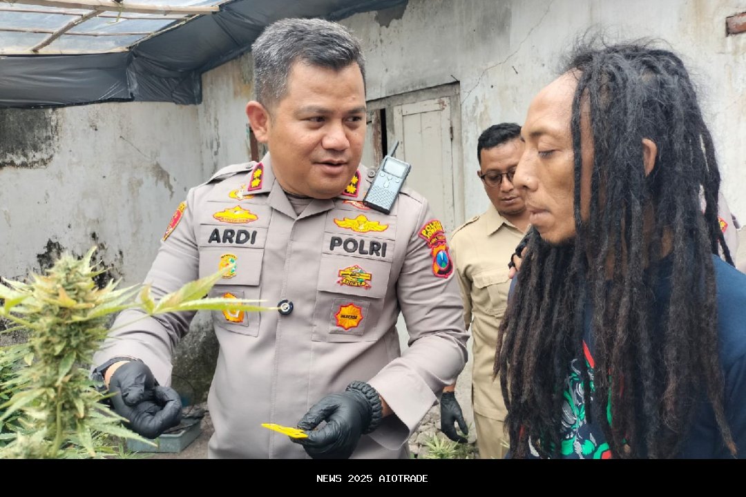 Polisi Bebaskan Fakta Baru Kasus Ganja di Kontrakan, Ternyata