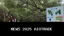 Fungsi Kunci Hutan Mangrove yang Terabaikan untuk Ekosistem dan Nelayan