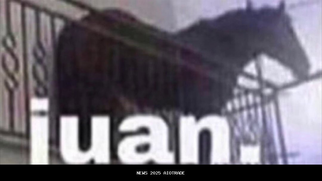 Juan Reza, Pencipta Lagu 