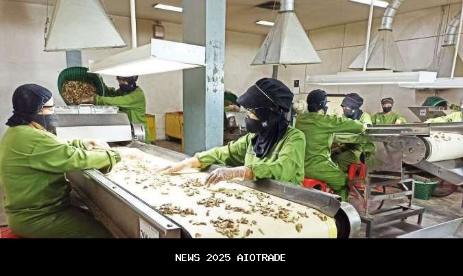 Kinerja SIDO Menggembirakan di Kuartal III-2025, Fokus pada Produk Herbal dan Ekspor