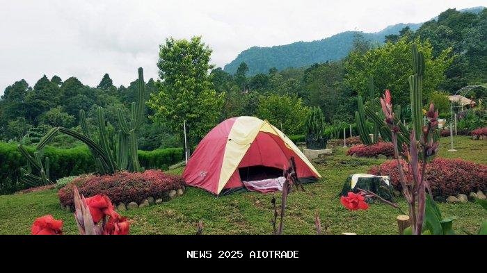 Berkunjung ke Taman Betung, Udara Segar Seperti Puncak