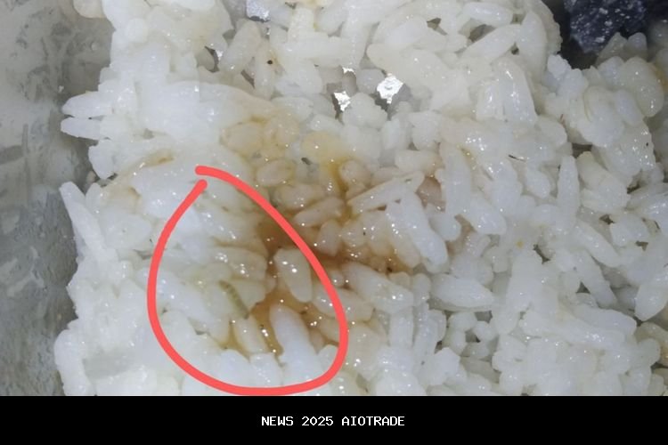 Video Ulat di Menu MBG Maumere, SPPG Tengah Selidiki