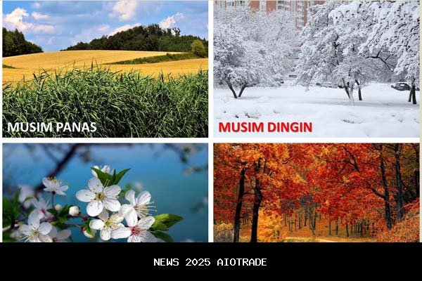 Musim Sepak Bola 2025/2026 Sudah Dimulai, Berapa Tiket Nonton Pertandingan Tim Eropa? Ini Rincian Harganya!