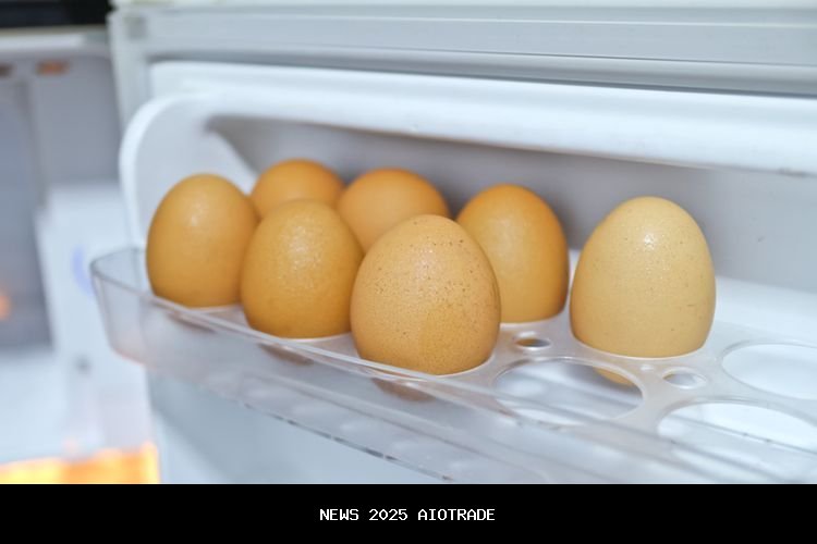 Berapa Lama Telur Bisa Disimpan di Kulkas?