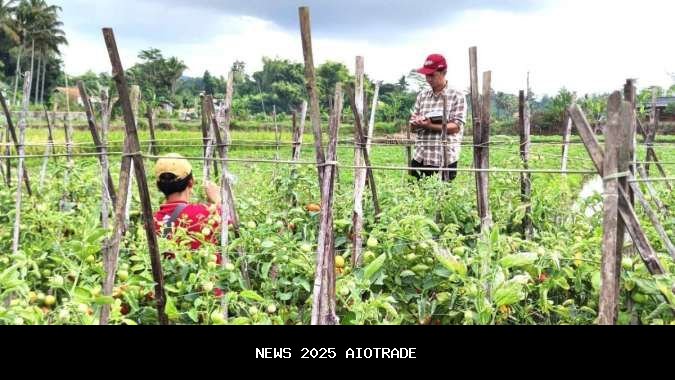 IBA 2025 Digelar Bulan Ini, Dongkrak Inovasi dan Regenerasi Pemulia Tanaman