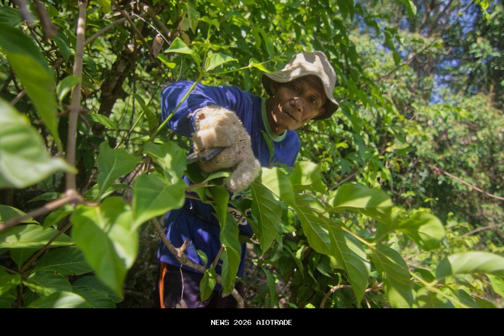 Pertanian Jadi Tulang Punggung Ekonomi Sumbar 2025