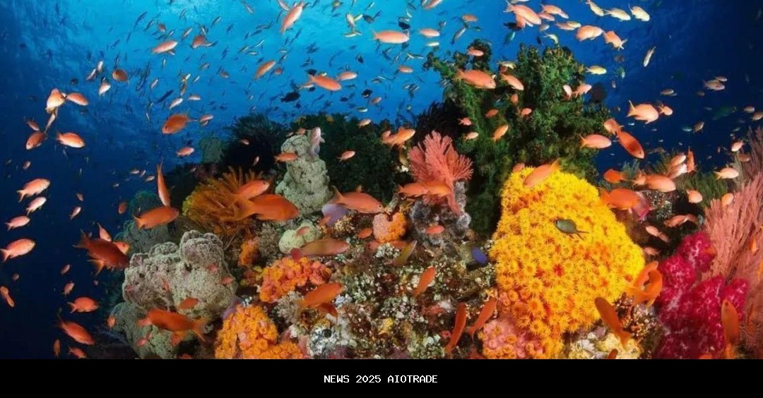 5 Destinasi Wisata Terbaik di Manado yang Harus Dikunjungi