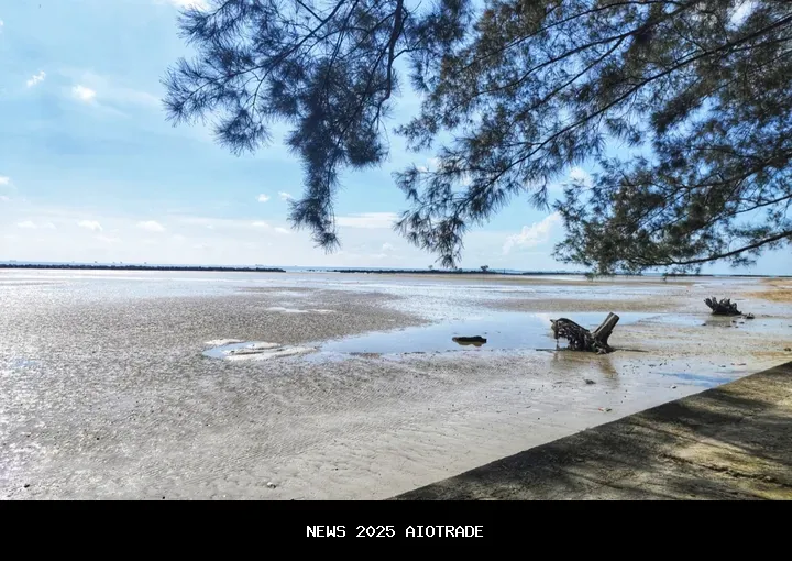 Destinasi Wisata Pangkalpinang yang Populer, Mulai dari Alun-Alun hingga Pantai Pasir Padi