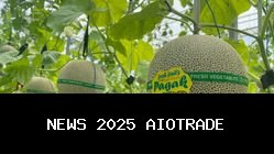 Desa Wisata Pagak Banjarnegara Kembangkan Ekonomi Kreatif dengan Wisata Petik Melon