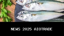 6 Cara Pilih Ikan Segar Tanpa Pengawet, Perhatikan Mata dan Aroma