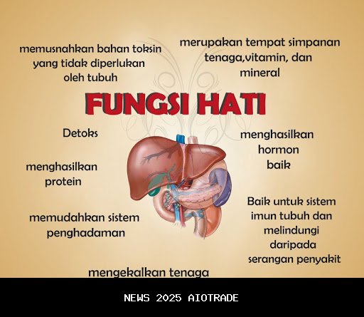 Hati Terluka oleh Teman Dekat, Aya Balqis Blokir Instagram Jule: Ini Bukan Orang yang Kuketahui