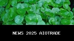 Daun Pegagan: Rahasia Kesehatan dari Tumbuhan Liar