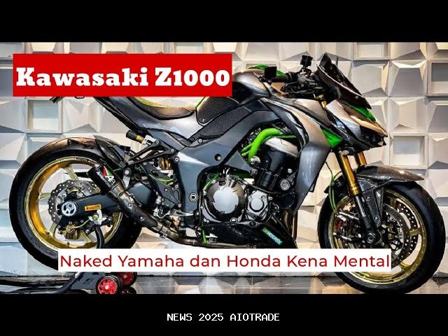 Jangan Salah Paham! Kawasaki Z15 GT, Motor Sport dengan Aura Paling Tangguh
