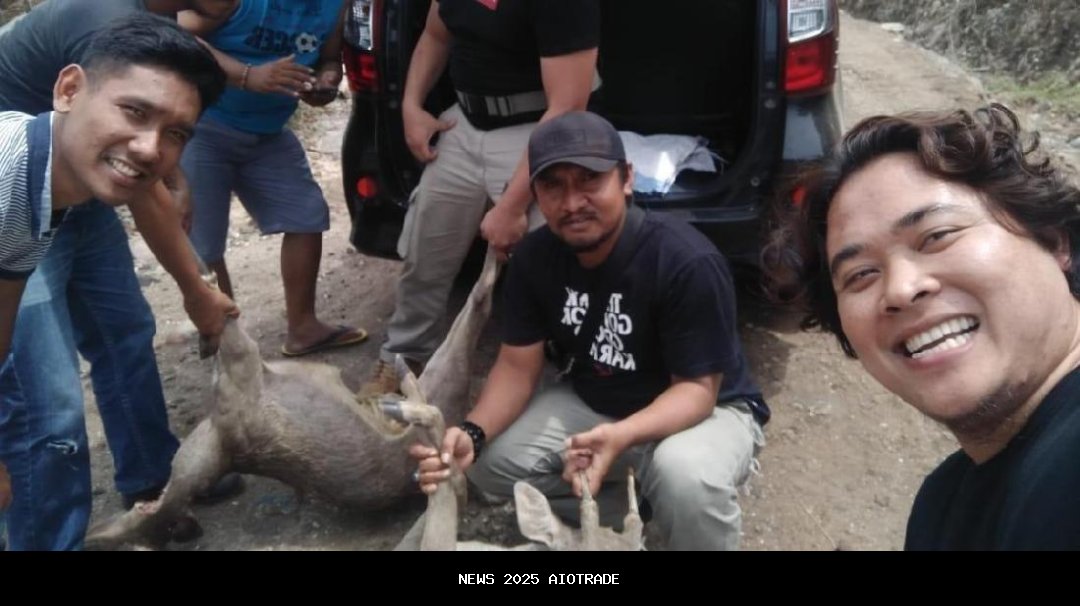 Aparat Gabungan Tangkap Pelaku Perburuan Rusa di Pulau Komodo