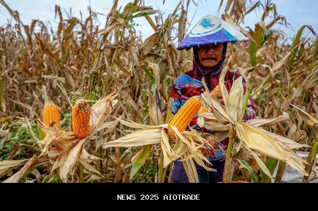 Kemenkeu: Ketahanan Pangan Jaga Stabilitas Negara