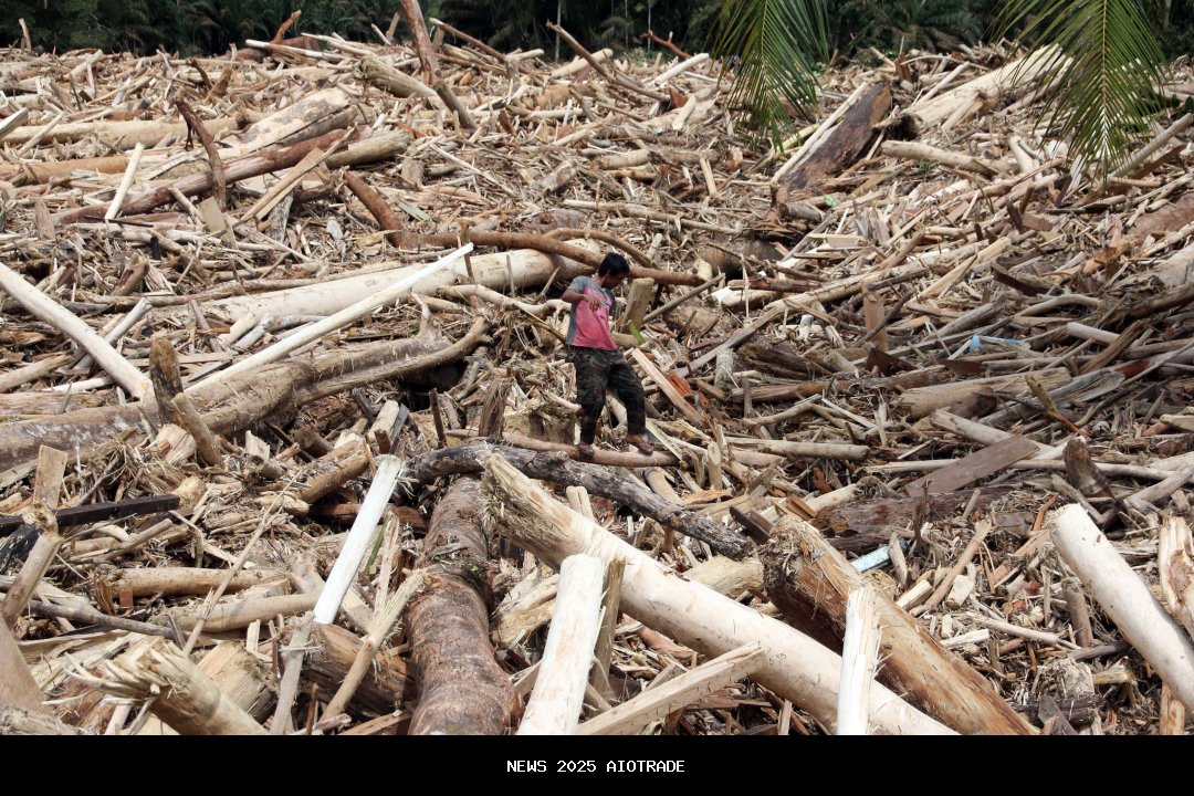 Kemenhut Ungkap Modus Pencucian Kayu di Sumut