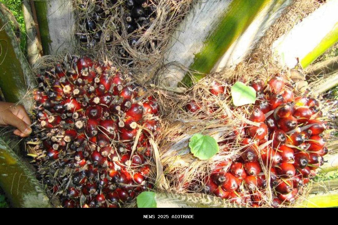 Kemendag: Hampir Semua Produk RI Bebas Tarif ke Eropa, Ini Daftarnya