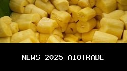 Tape Singkong Aman untuk GERD? Ini Probiotik dan Dampak Alkoholnya