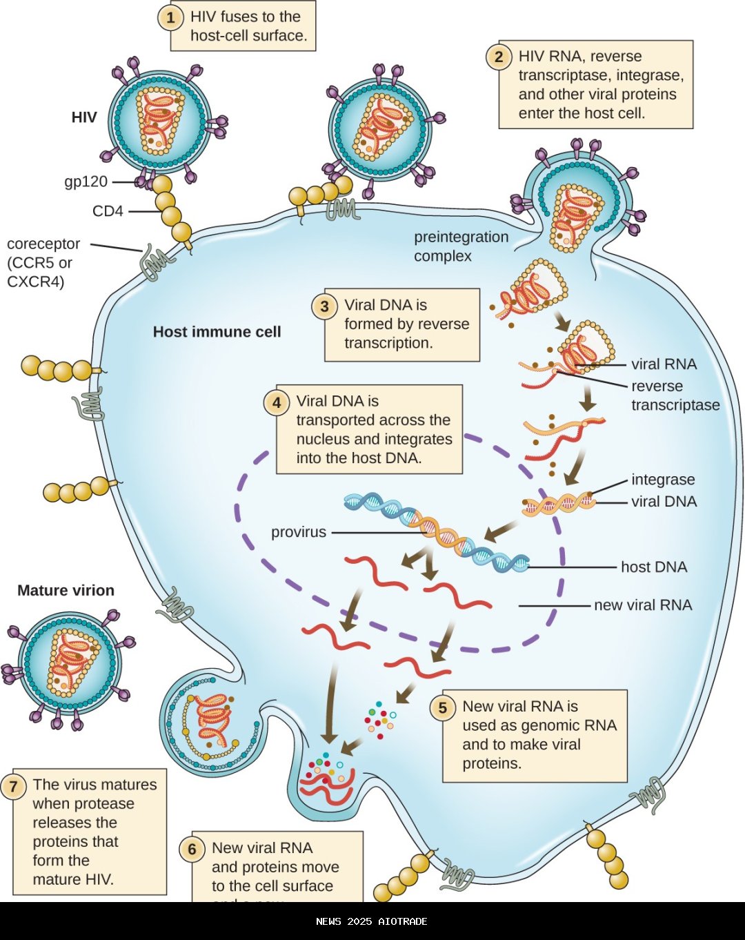 Viral Dugaan Perselingkuhan Bupati Majalengka, Eman Bentuk Tim Investigasi