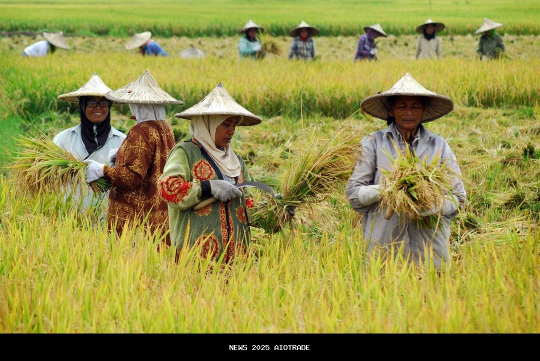 Petani Madiun Diadukan Karena Landak Rusak Tanaman