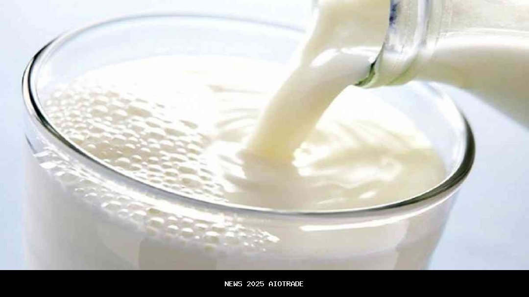 Susu Laban: Minuman Fermentasi Berkhasiat