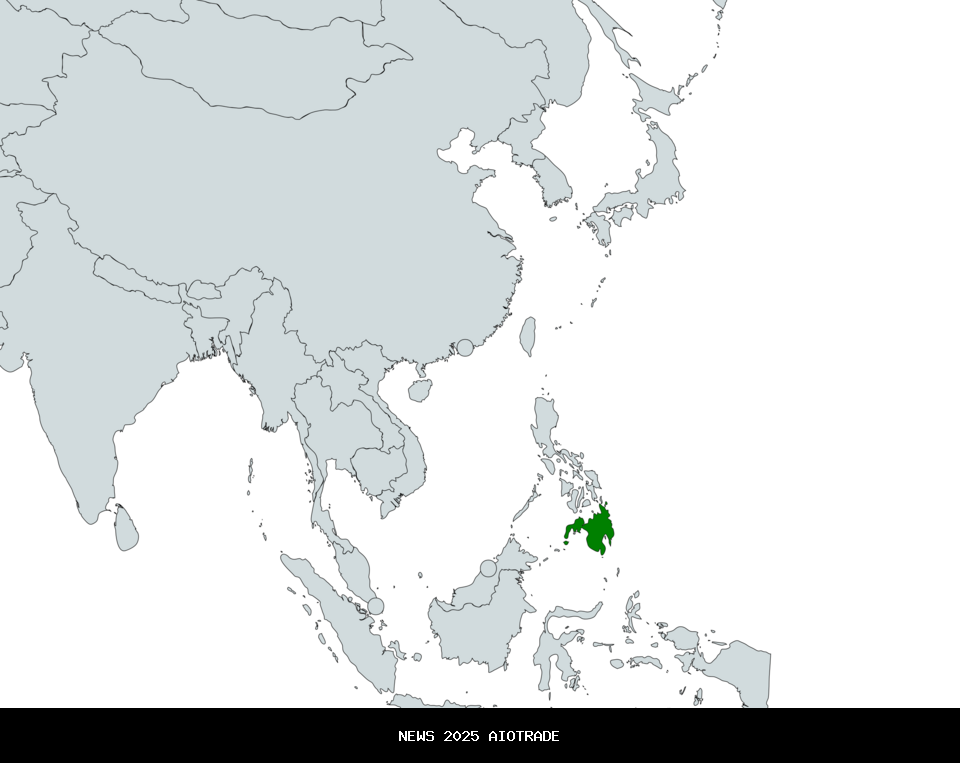 5 Fakta Menarik Burung Raja Udang Perak, Langka dan Terbatas!