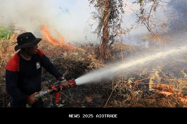 Kebakaran Hutan Indonesia Capai 19,6 Juta Hektare, Puncaknya 2014-2015