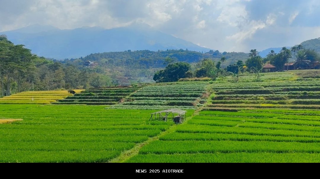 Trawas Miliki Wisata Baru! 5 Destinasi Tersembunyi 2025 yang Membuat Betah Tinggal