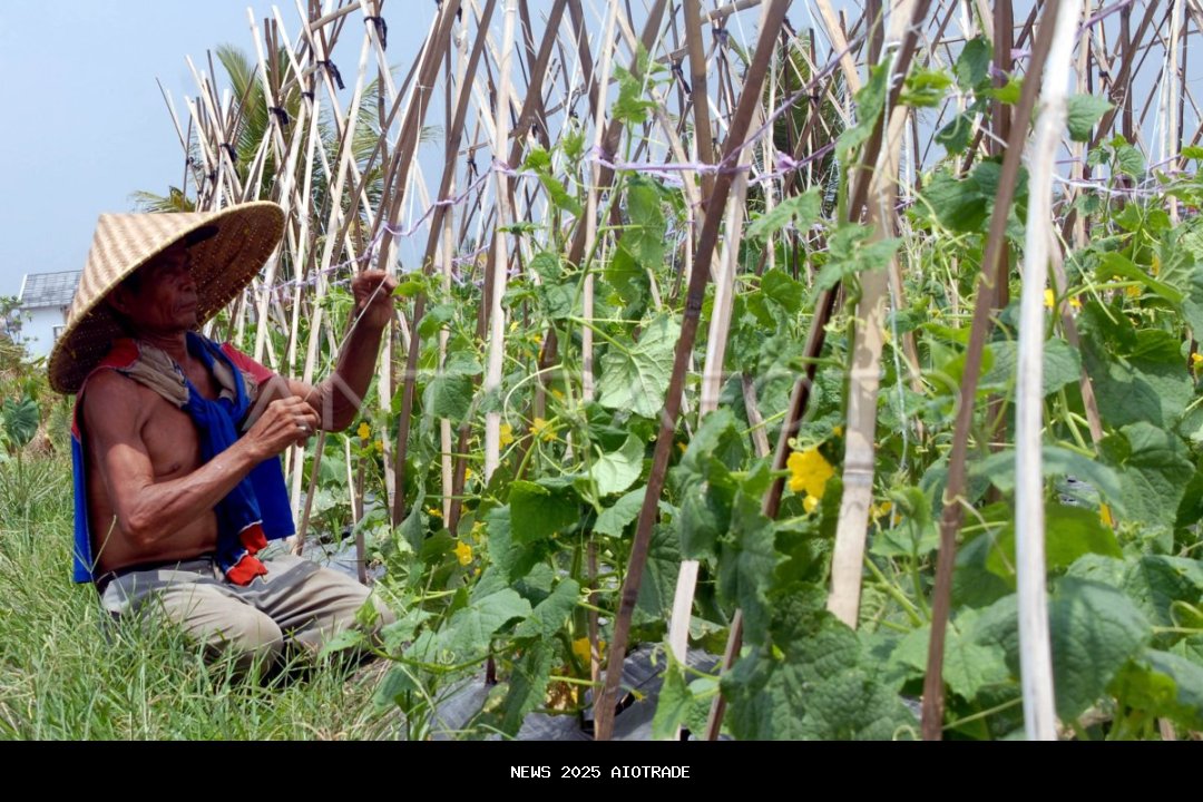 Alihkan sebagai Isiolo, Marsabit penduduk mengadopsi pertanian dapur
