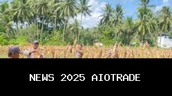 Panen Jagung Polsek Baolan, Kedaulatan Pangan Berhasil Diraih Tolitoli