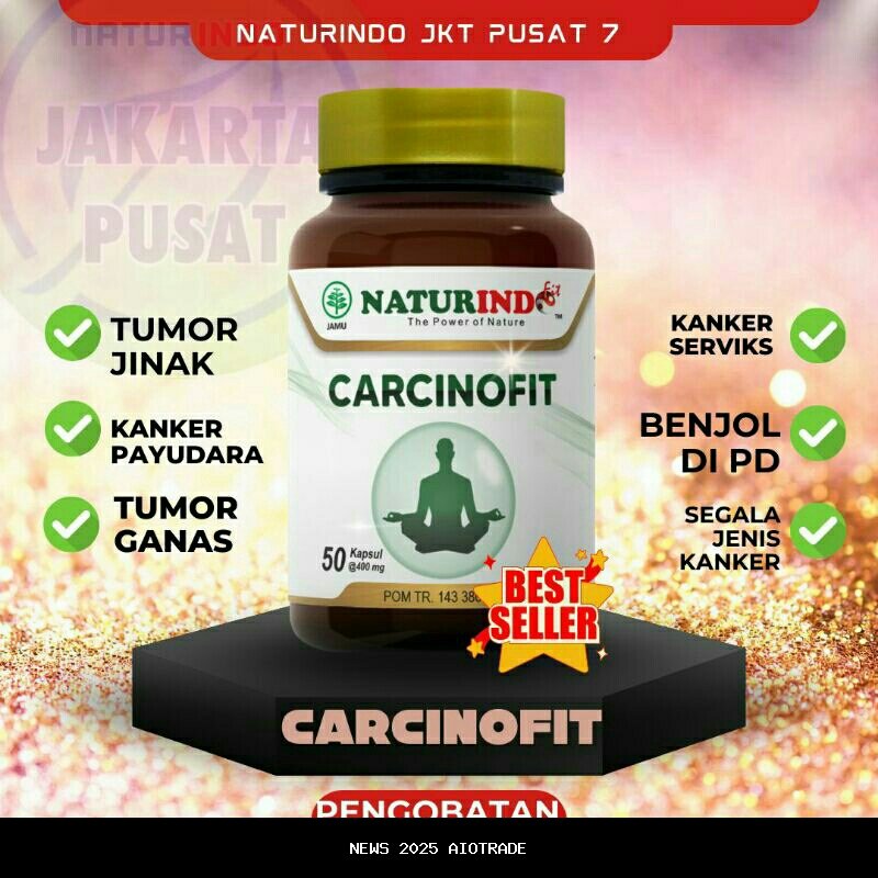 Mpok Alpa Jual 2 Mobil dan Tabungan untuk Obati Kanker Payudara