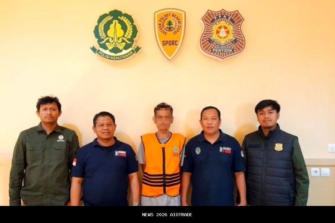 Penangkapan sindikat penebang liar di Taman Nasional Baluran