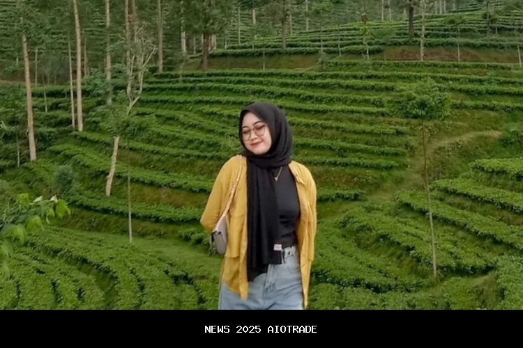 Delapan Destinasi Wisata Instagenik yang Menarik di Batang