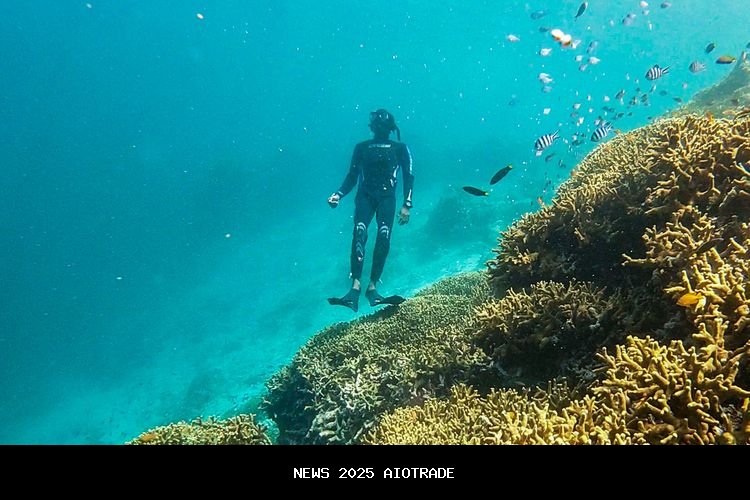 Turis Belanda Meninggal Saat Menyelam di Perairan Taman Nasional Komodo