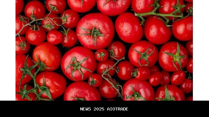 9 Sayuran Lebih Sehat Dimasak, Mulai Tomat hingga Wortel