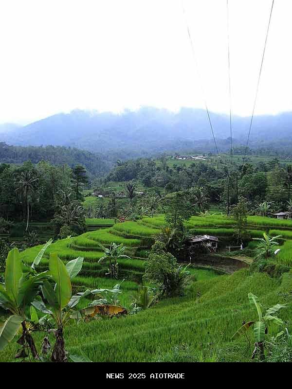 Penghargaan Pilihan Pembaca: Bali Kehilangan Gelar Pulau Terindah Asia 2025, Digeser Vietnam