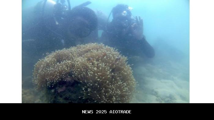 Jejak Pemburu Harta Karun dan Anak Penebus Dosa di Laut Karawang