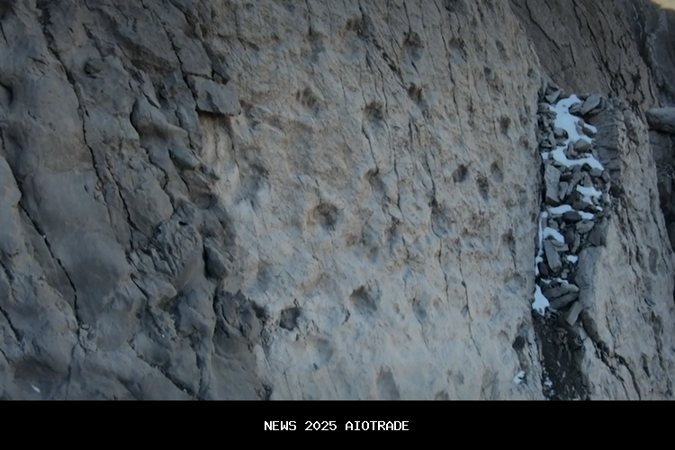 Jejak Dinosaurus Berusia 210 Juta Tahun Ditemukan di Italia